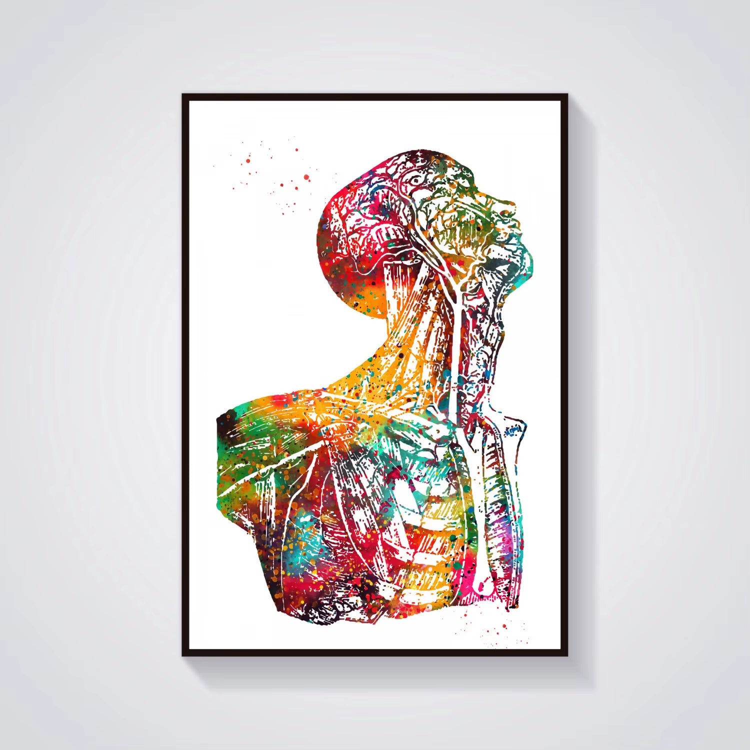 Head and Torso Heart Anatomy Heart Anatomy Heart and Brain Heart Section Anatomical Medical and Science Poster