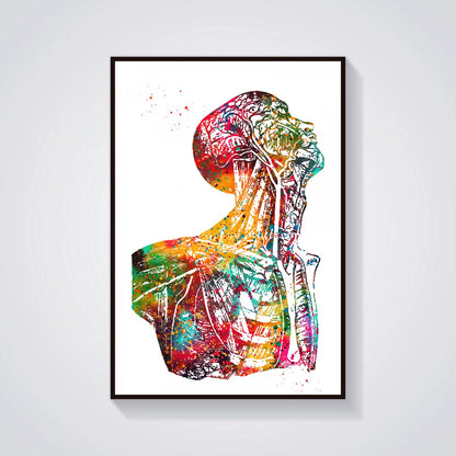 Head and Torso Heart Anatomy Heart Anatomy Heart and Brain Heart Section Anatomical Medical and Science Poster