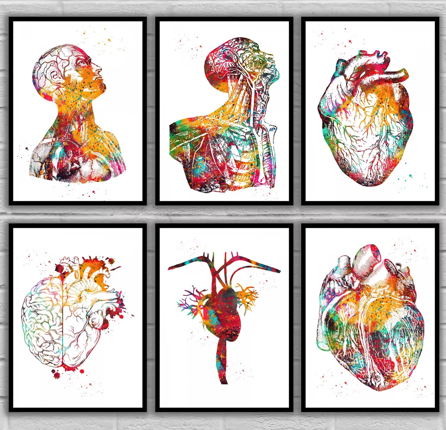 Head and Torso Heart Anatomy Heart Anatomy Heart and Brain Heart Section Anatomical Medical and Science Poster
