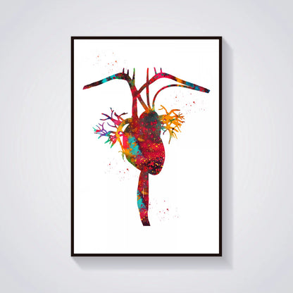 Head and Torso Heart Anatomy Heart Anatomy Heart and Brain Heart Section Anatomical Medical and Science Poster