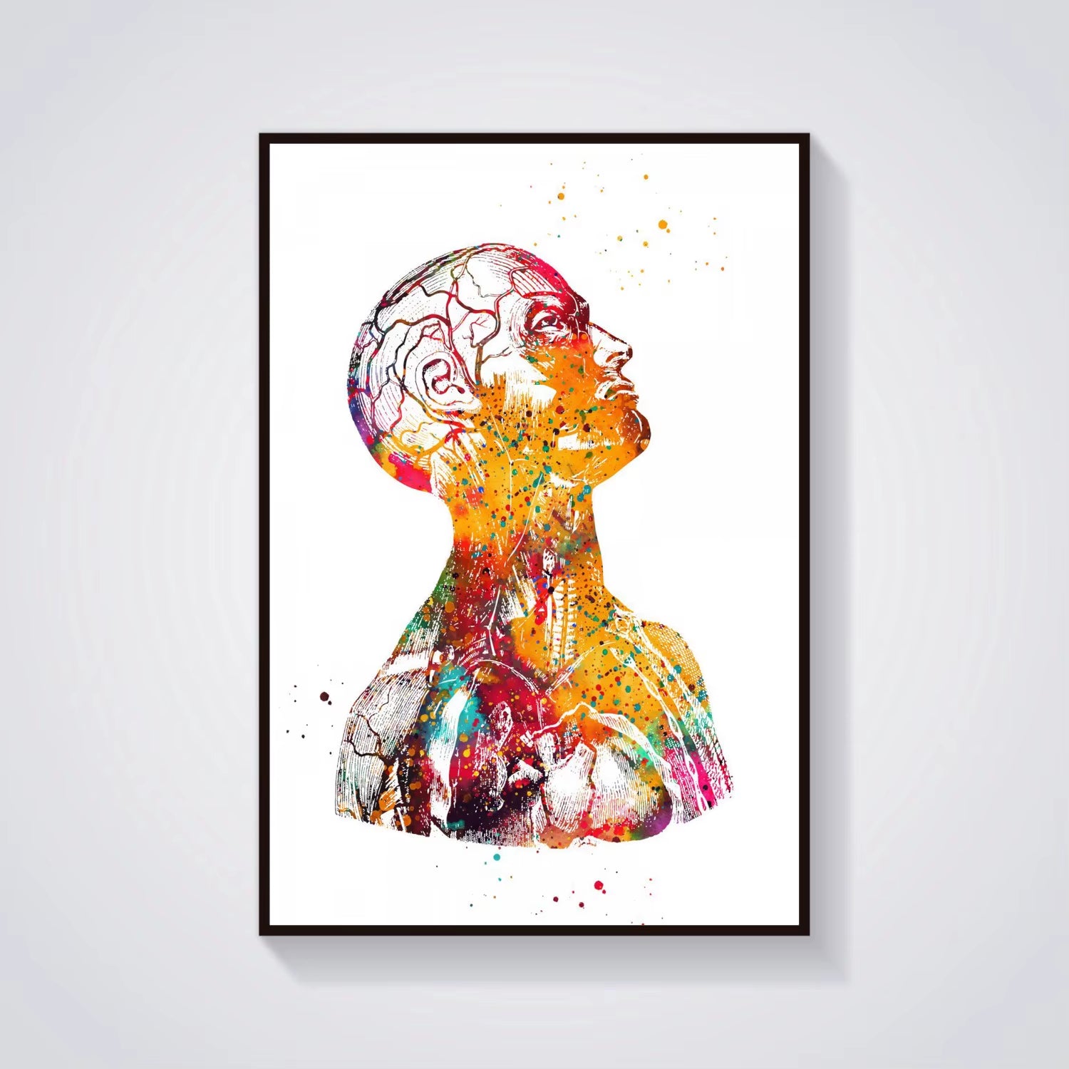 Head and Torso Heart Anatomy Heart Anatomy Heart and Brain Heart Section Anatomical Medical and Science Poster