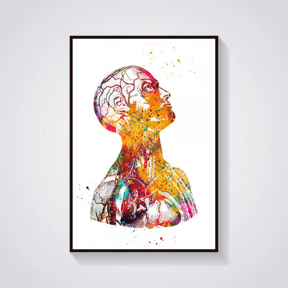 Head and Torso Heart Anatomy Heart Anatomy Heart and Brain Heart Section Anatomical Medical and Science Poster